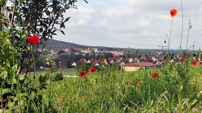 Blick auf Abenberg