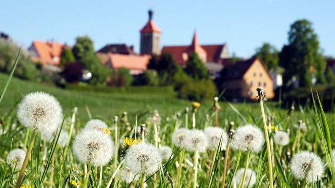 Blick auf das sommerliche Abenberg