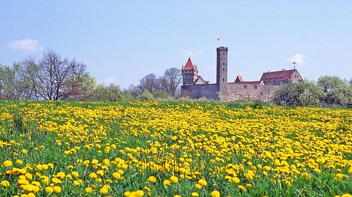 Burg Abenberg im Sommer Burg Abenberg im Sommer