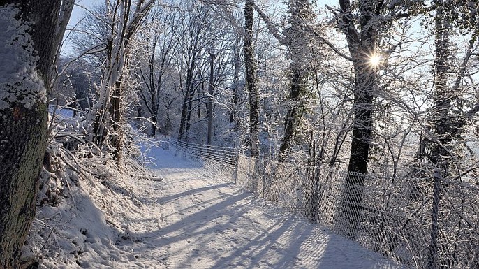 Auch im Winter ist Wandern ein Genuss Auch im Winter ist Wandern ein Genuss