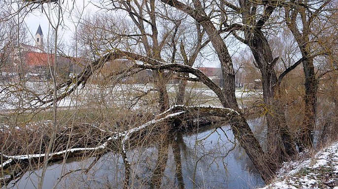 Winterliches Wassermungenau Winterliches Wassermungenau