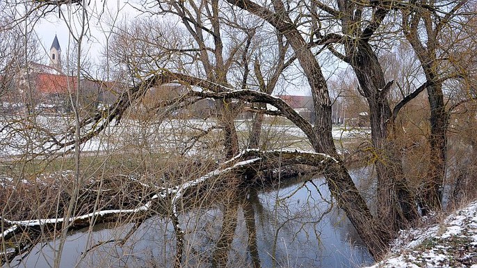 Winterliches Wassermungenau